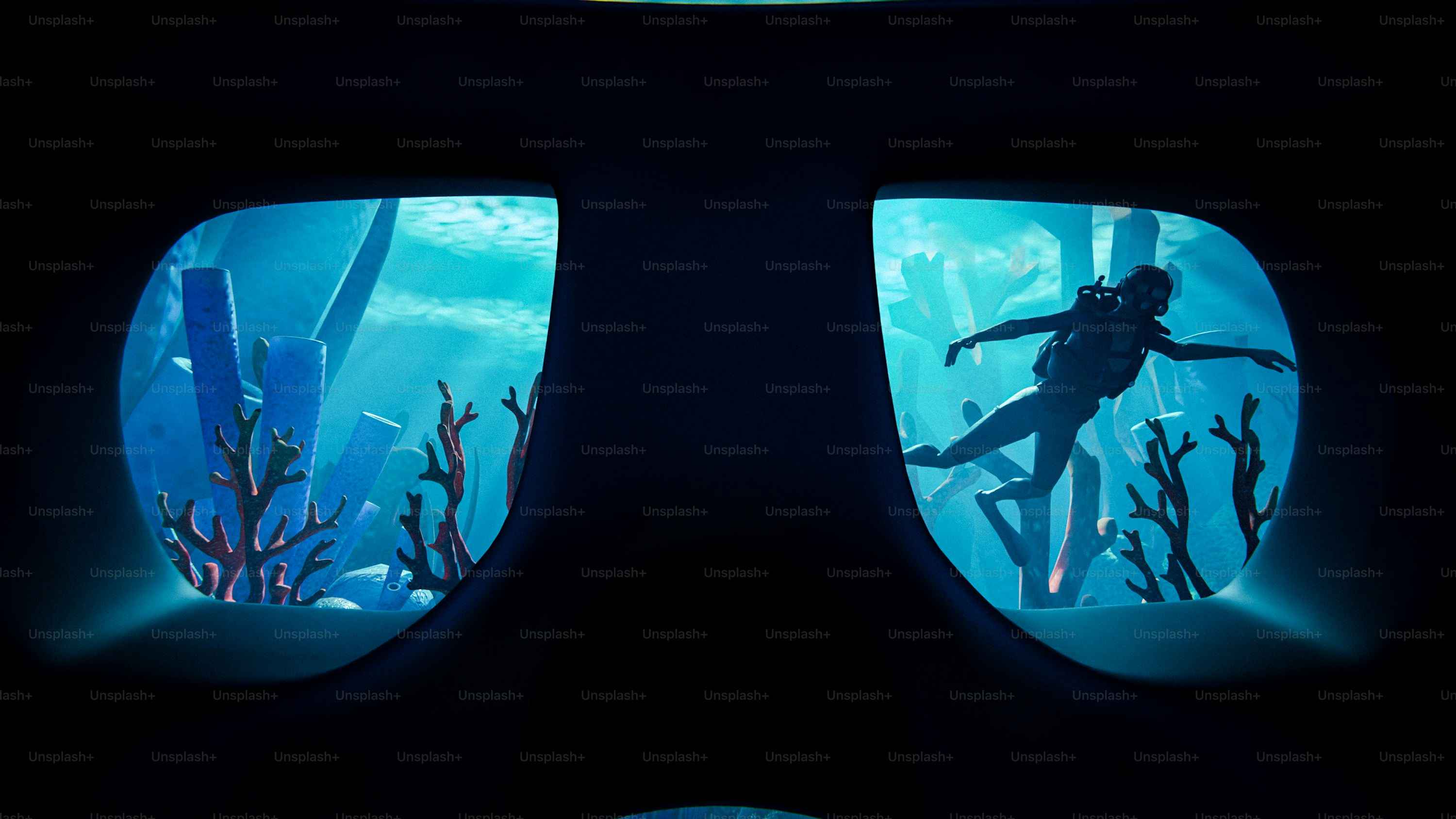 A diver explores the underwater world through a window